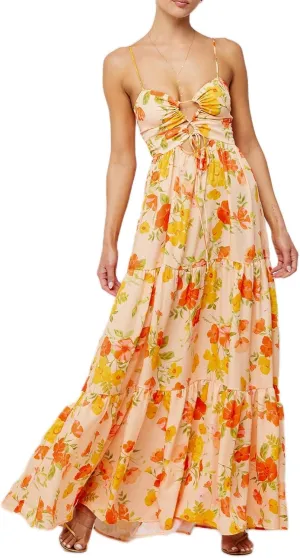Womens Summer Spaghetti Strap Long Dress Boho Low Cut Floral Dress Backless Flowy Midi Dress, Summer Beach Sundress